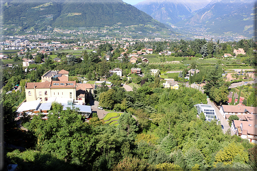 foto Giardini Trauttmansdorff - Boschi del Mondo